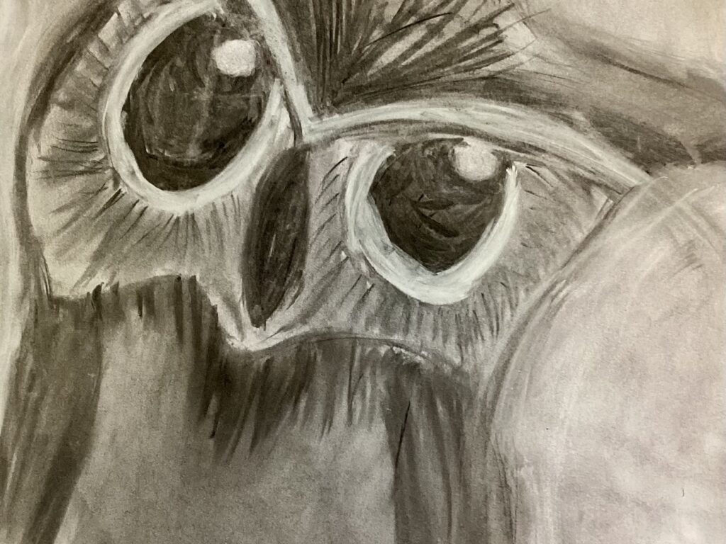 owl drawing