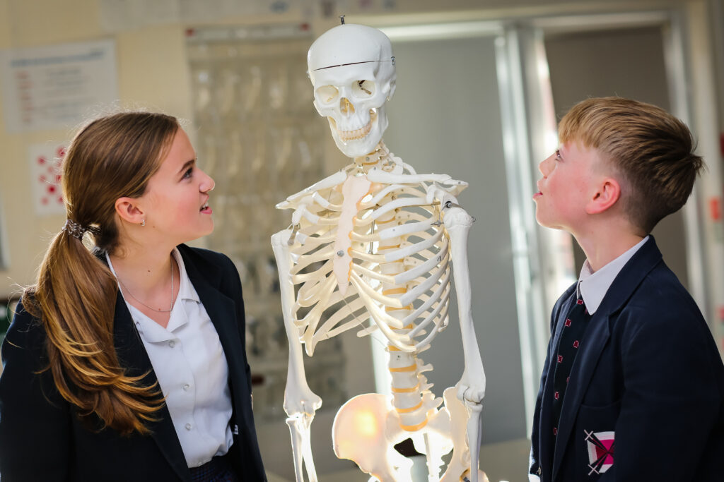 students looking at a skeleton