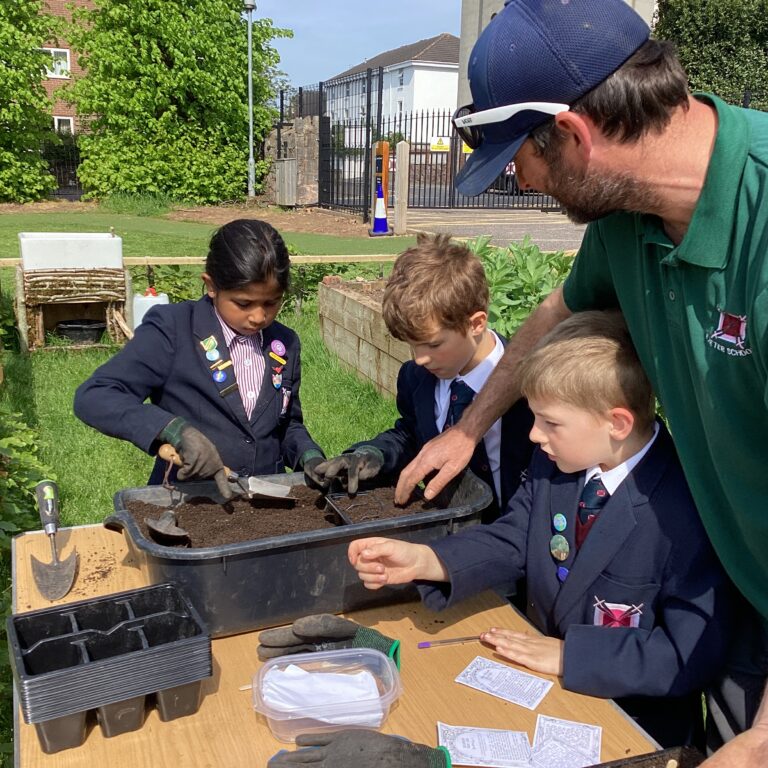 students planting seeds
