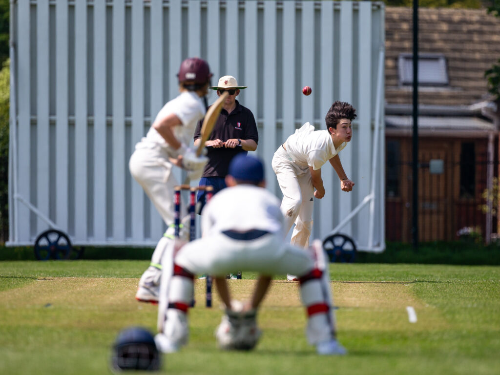 cricket action shot