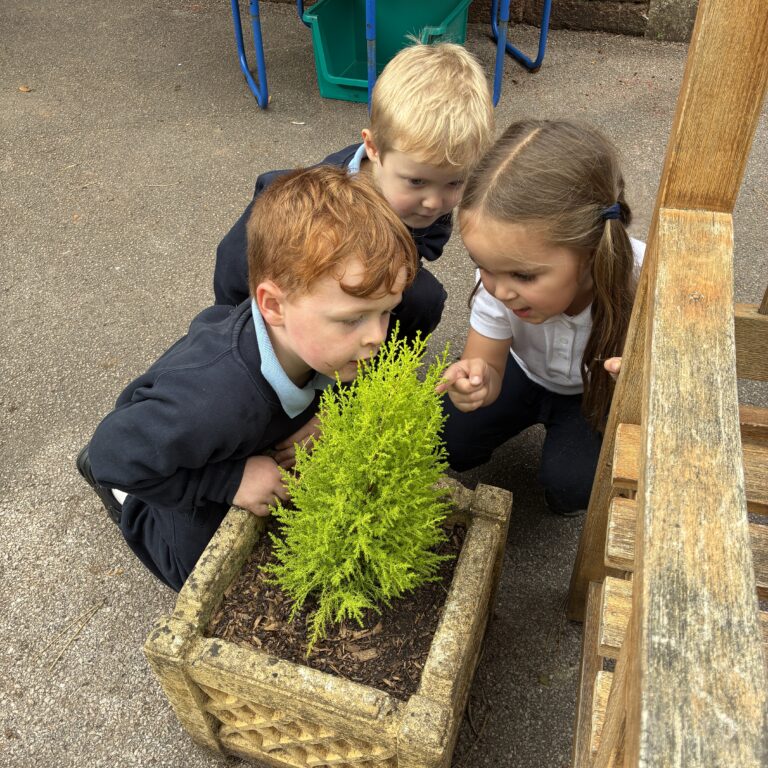 small children looking at a plant