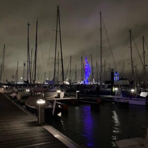 Marina with tower in background