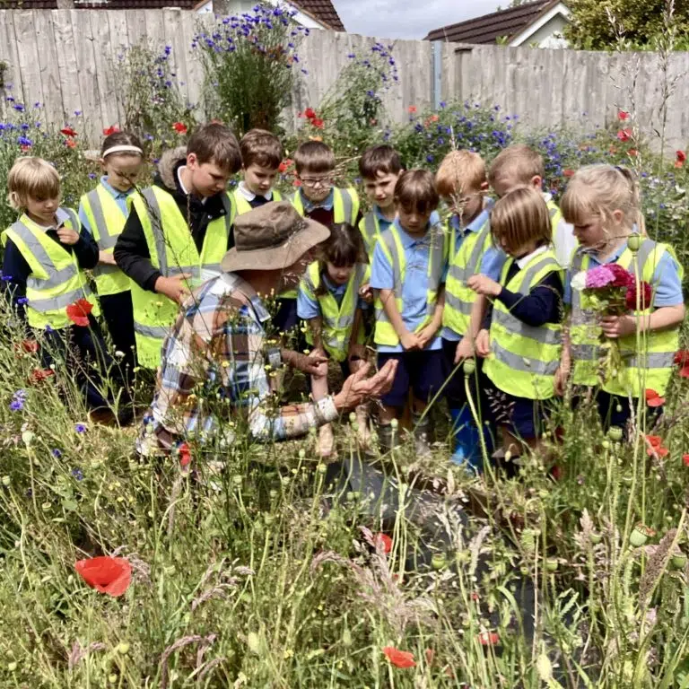 Group of children in yellow reflective vests exploring a flower garden behind a wooden fence.
