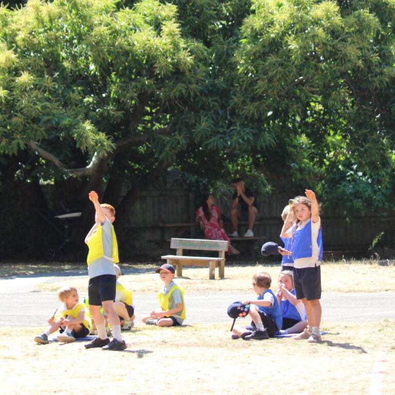 Group of children in bright vests (green, yellow, blue, red) standing and sitting in a sunny schoolyard, supervised by adults, with large trees behind them.