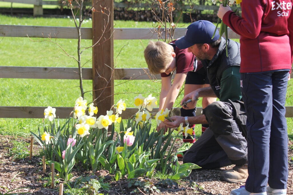 man and children picking flowers from garden beds.